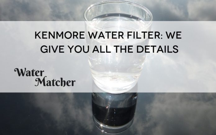 Kenmore Water Filter